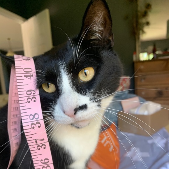 😃Hello there & Welcome...... - Picture 4 of 15